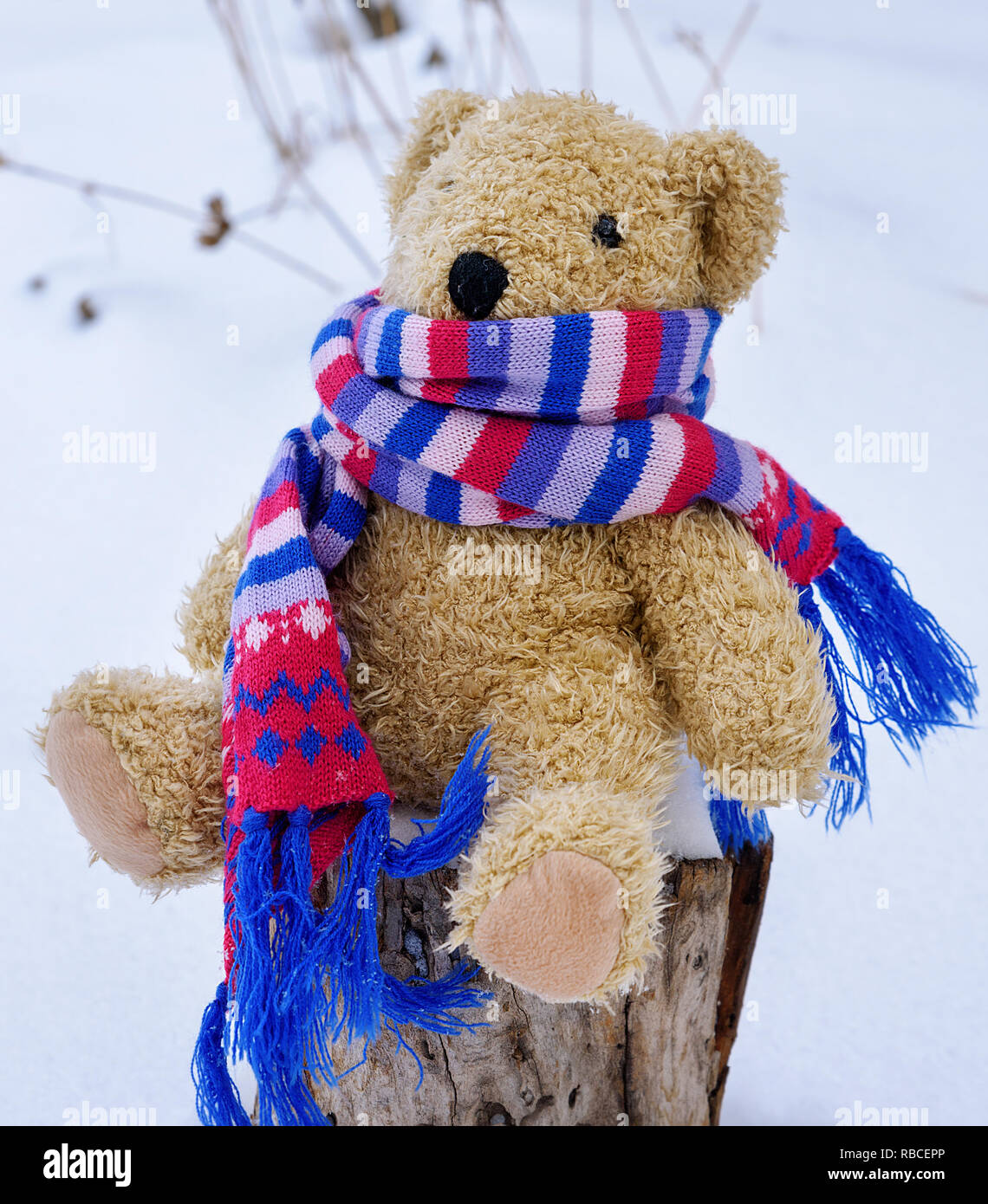 Brown children`s soft toy bear in a bright knitted scarf sitting on a stump in the middle of white snow Stock Photo